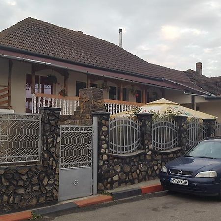 Casa Leo Apartment Haţeg Exterior foto