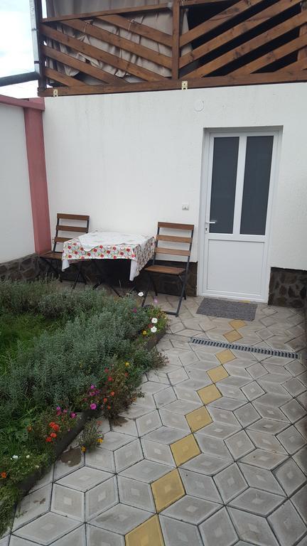 Casa Leo Apartment Haţeg Exterior foto